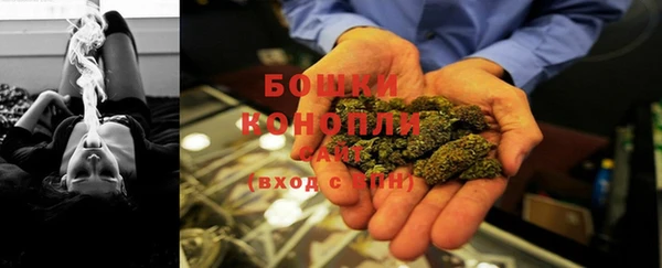 дурь Аркадак